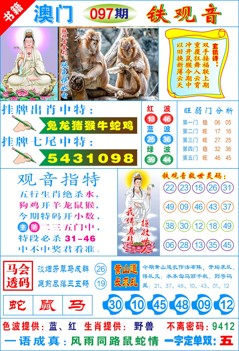 097期澳门铁观音[图]